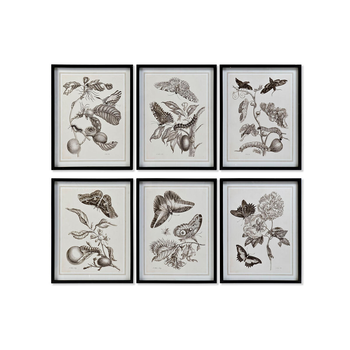 V10H68849CE5AA7B3F7637DFF721BBD2EC0CR5660409P2