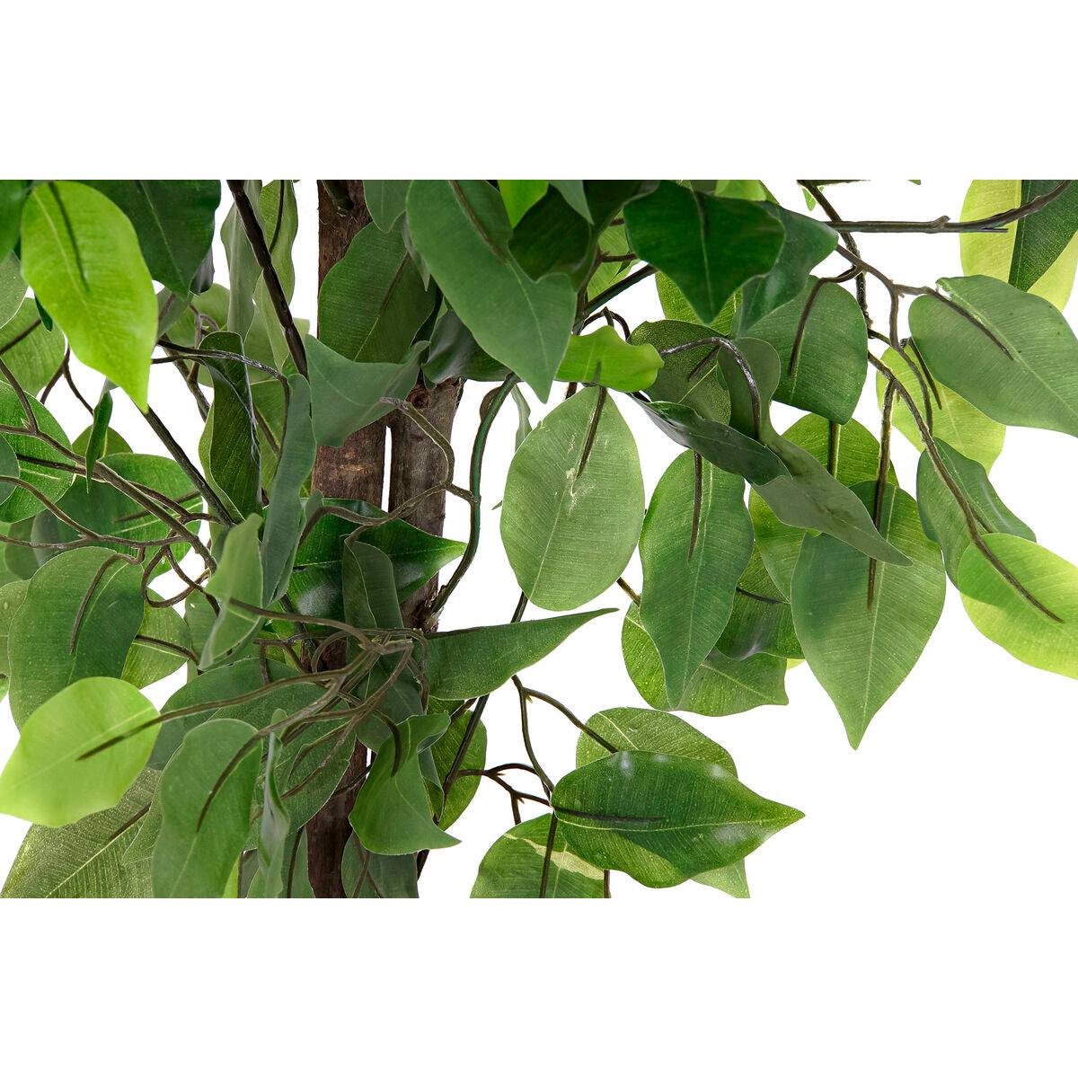 V7HAE922F82903F2EAB97D51126968F6C3CR4867659P2