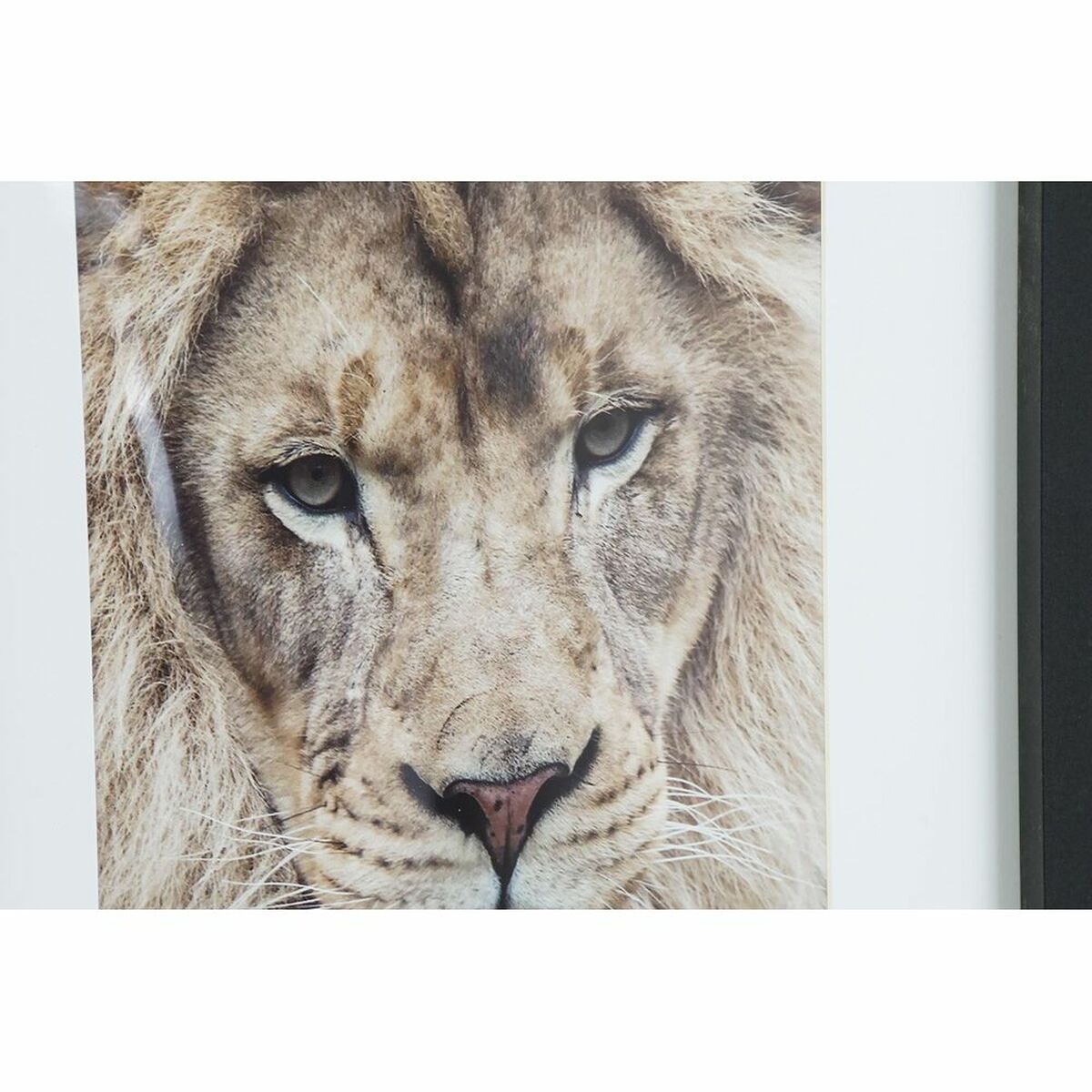 V6H2A23331C20F378B39F4B2E2E70CE9EAFR5661023P2