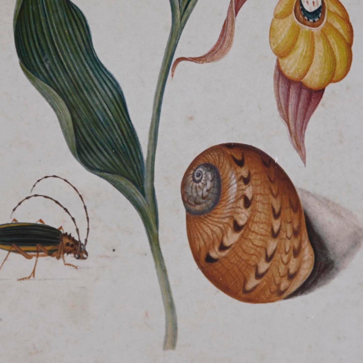 V7H0575A191D866669B17892EA08397BFA3R5662365P3