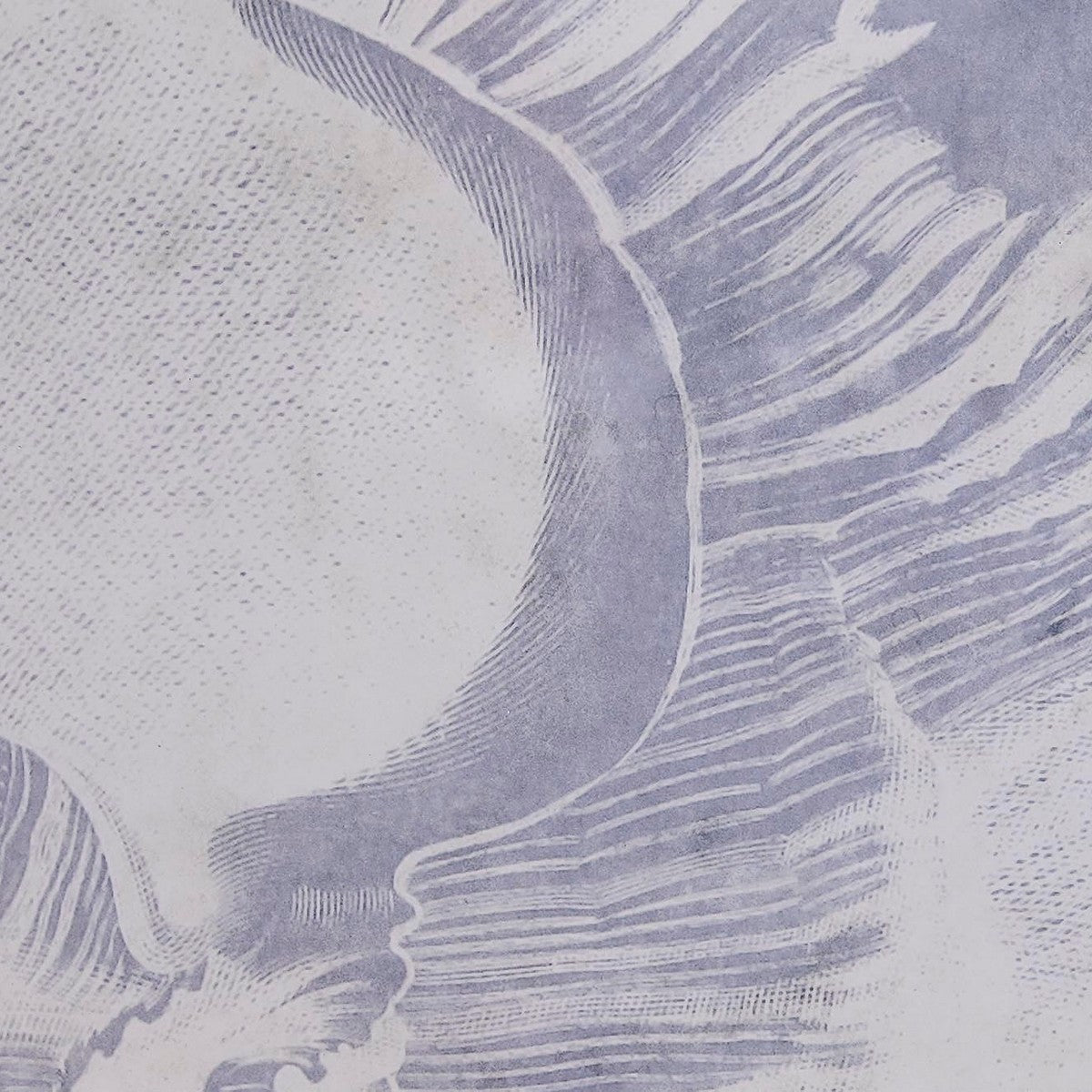 V7HFB32009AEF55D56EFB52B3E1B062AA3CR5662396P3