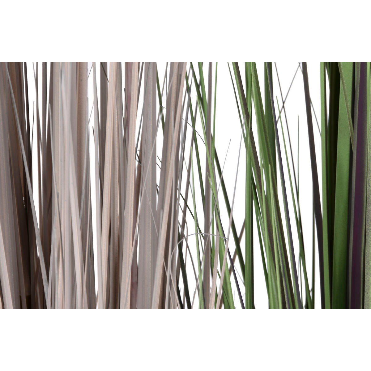 V5H70EB2F9D06B1505CACA9C6901EBB5AA3R5662574P2