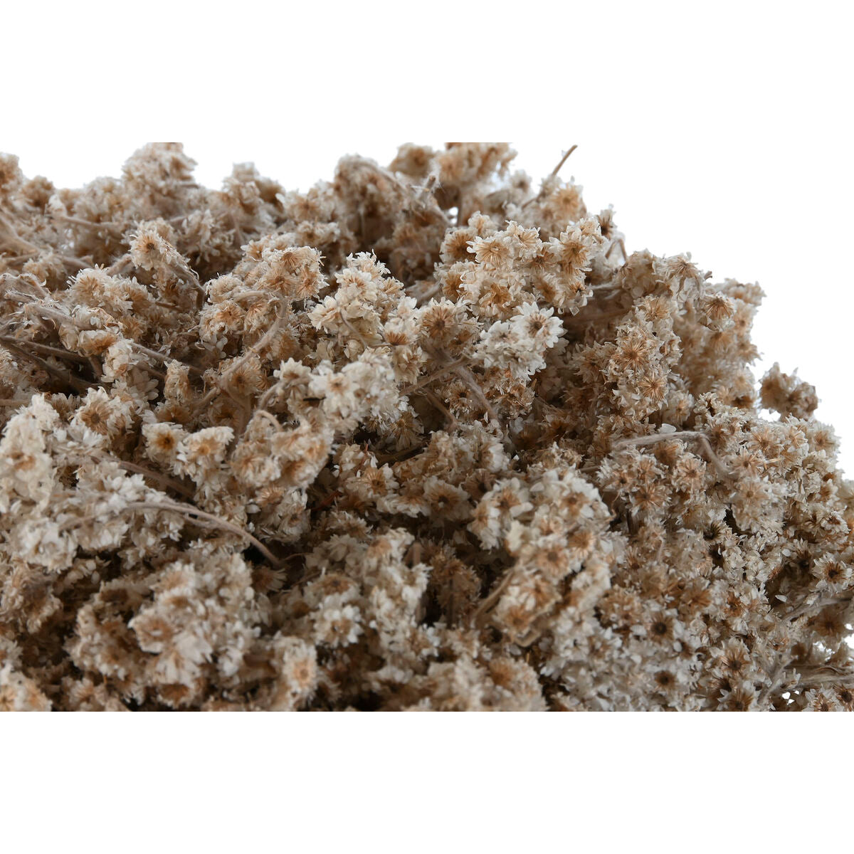 V3H19E508C5F590DE1DCE289E7C09956271R4456792P2