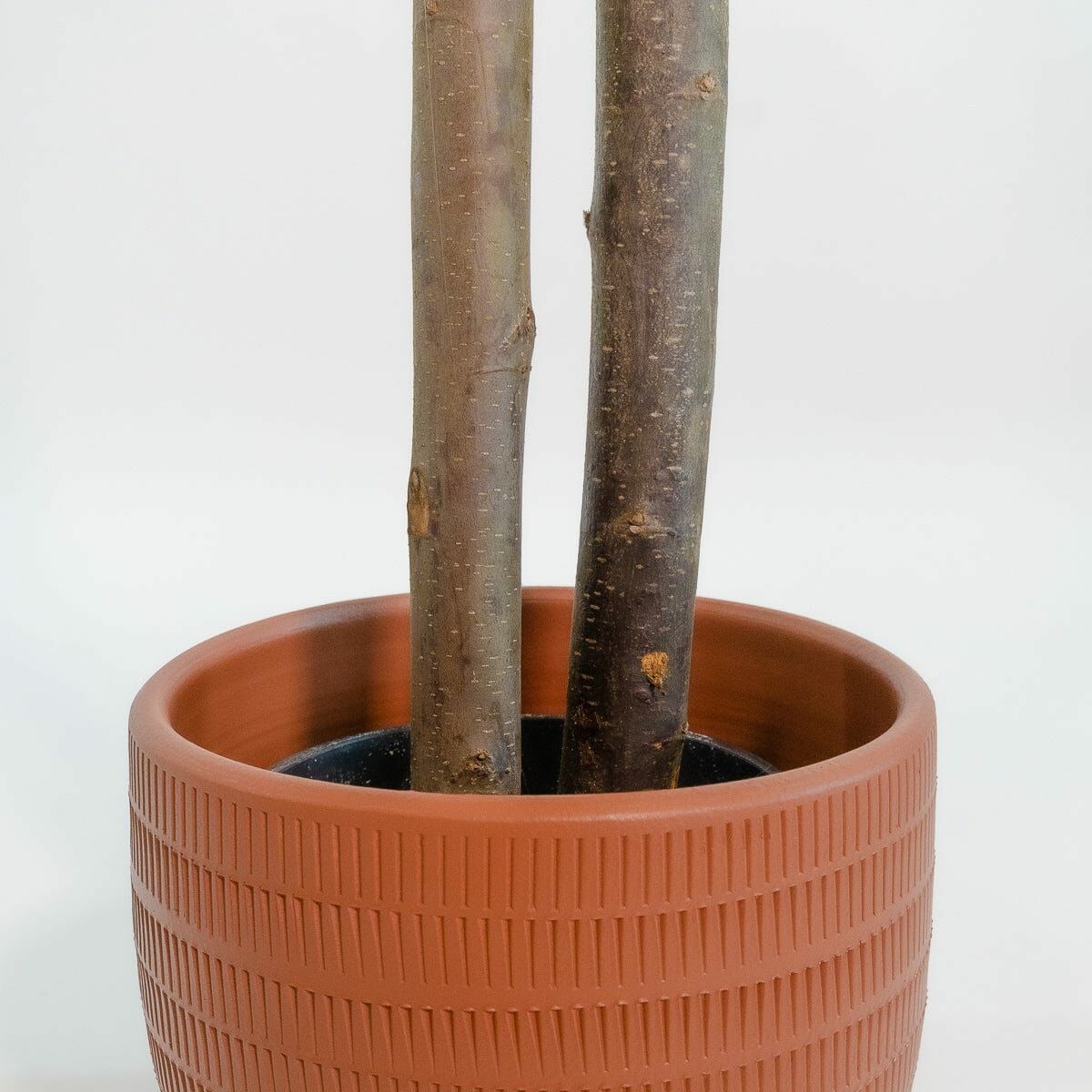 V3HE6B8A264151095C91362394AEC1BBF15R4443090P2