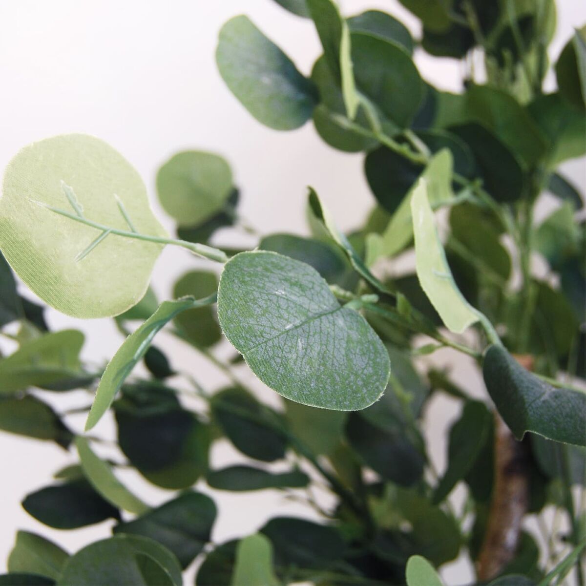 V3H54EB006231B45CB937B8981E133C5ABFR4443091P3