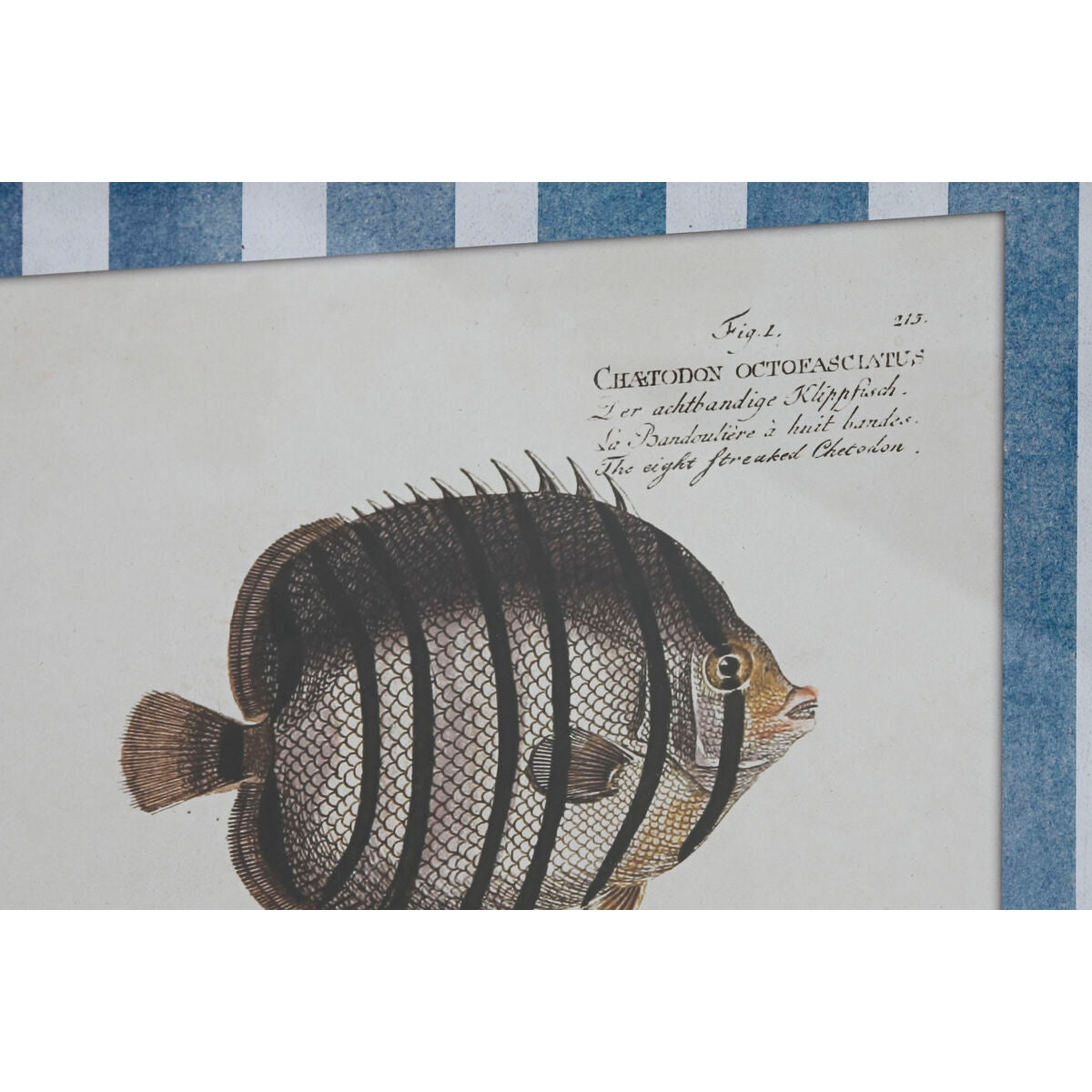 V4H48AB5349BC87040F86A1E7A801B10D26R5457098P2