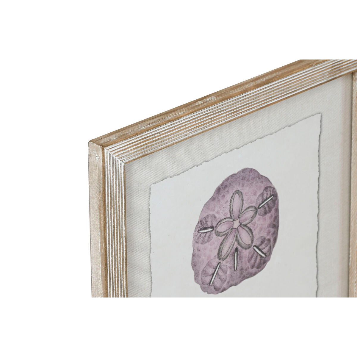 V4HA9F182EE2664E2FB80765906F9E23751R5457117P2