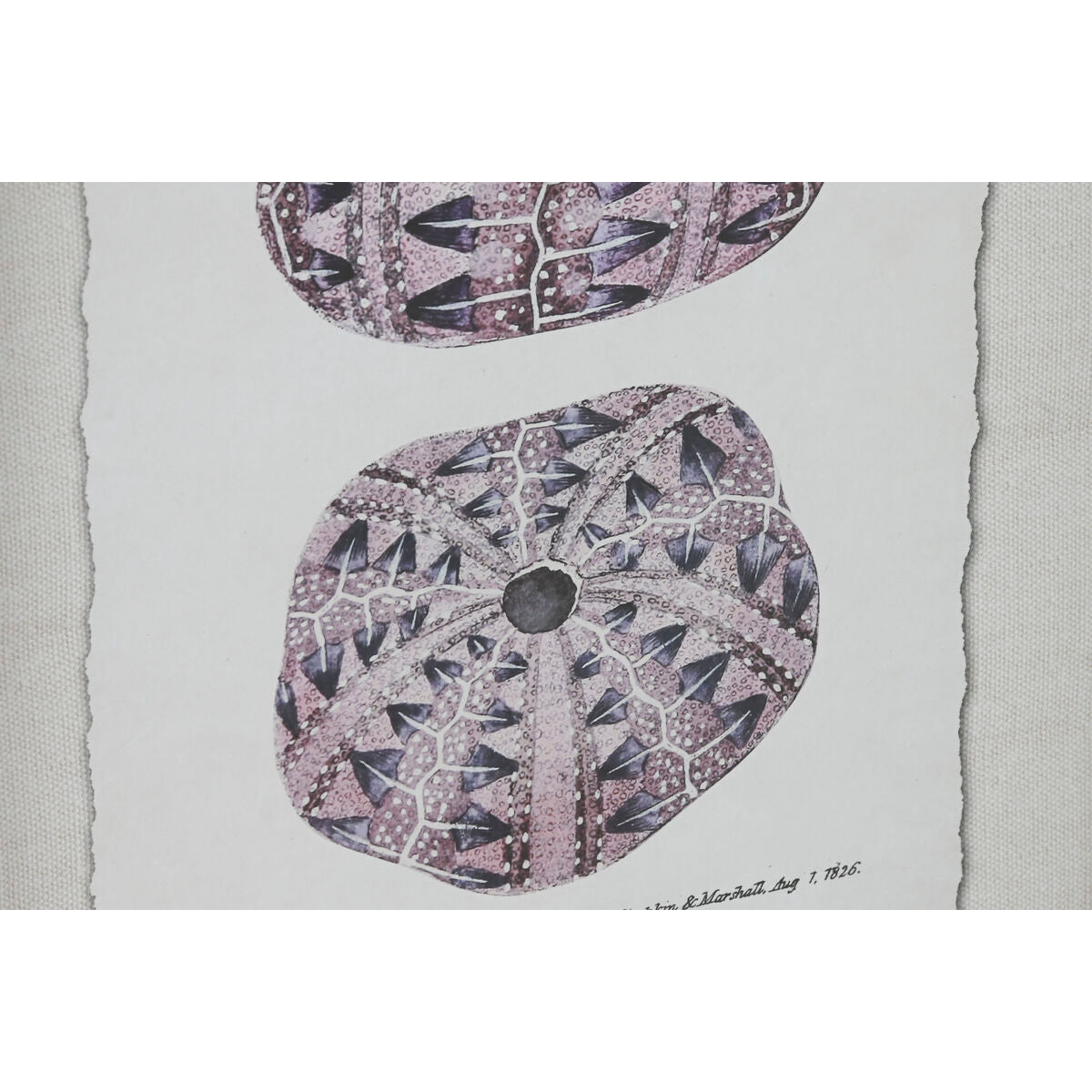 V4HCEFF298D35AEF08032865233E2458B43R5457118P3