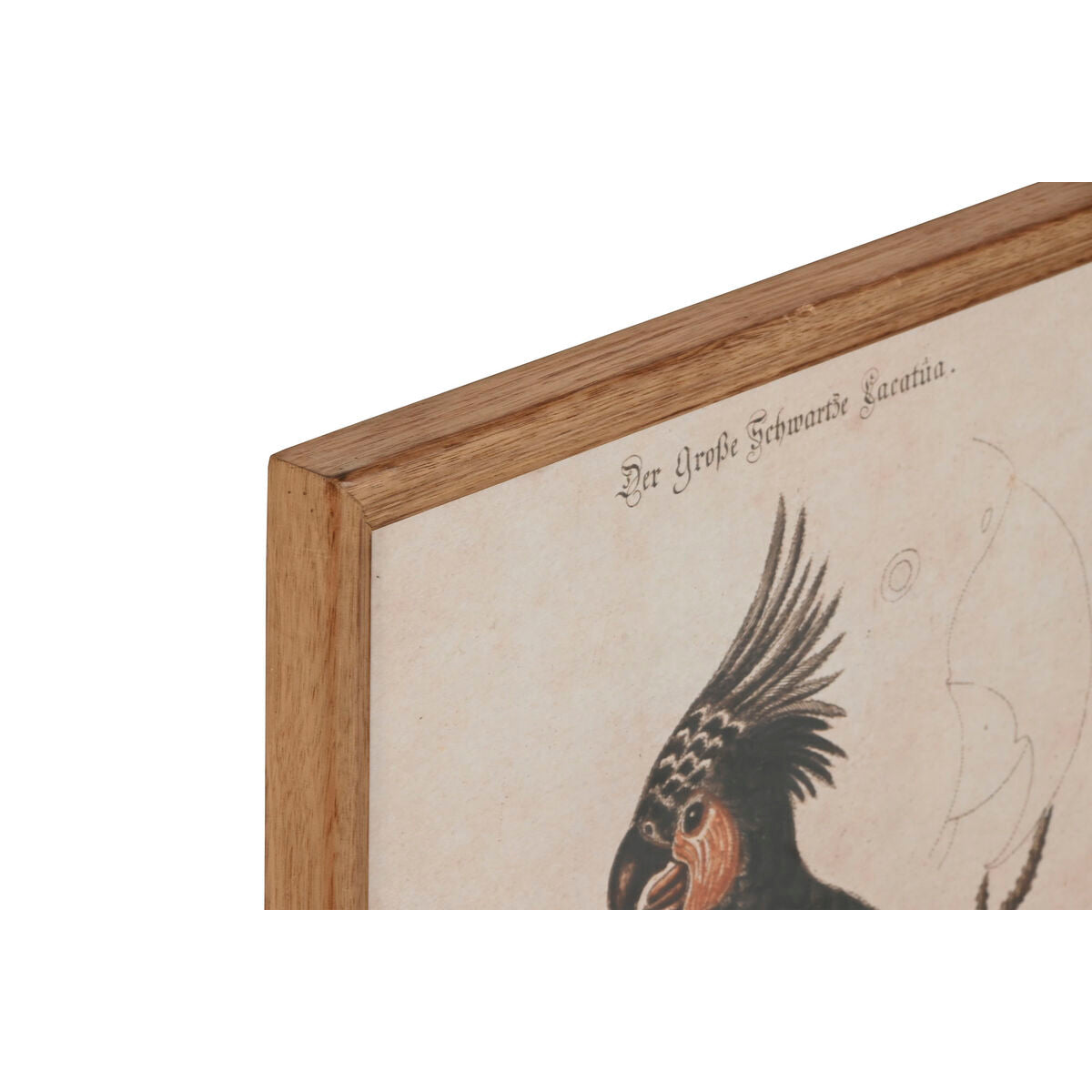 V2H98B9BFB1D2BC8B34652C9F4AC10C67AFR5620401P2