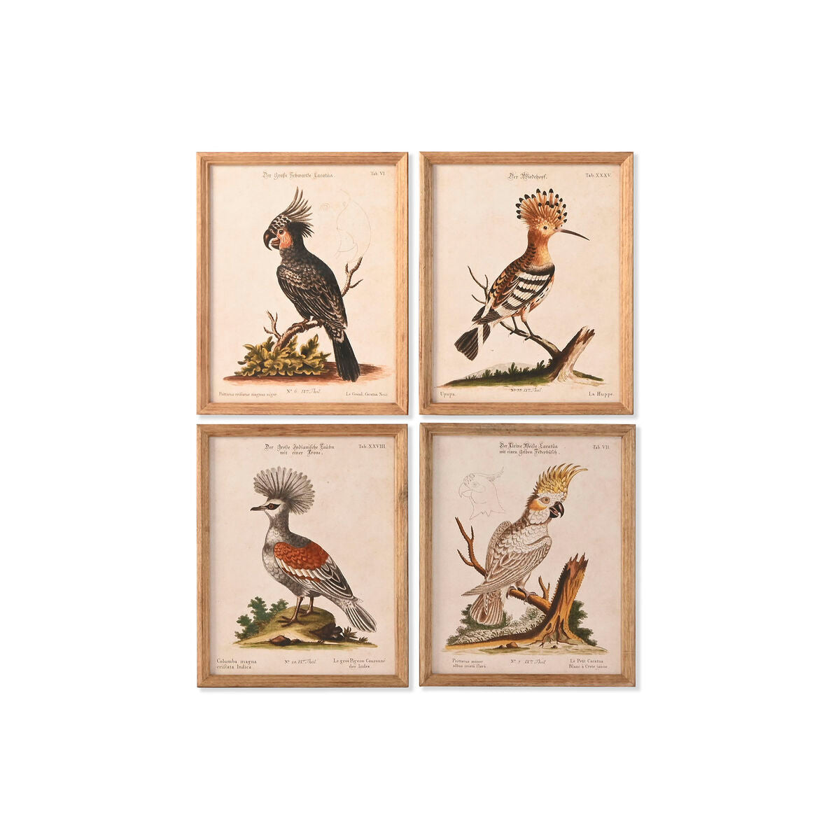 V2H0D650975F0DB584C6C586AD26FD1DBA1R5620398P1