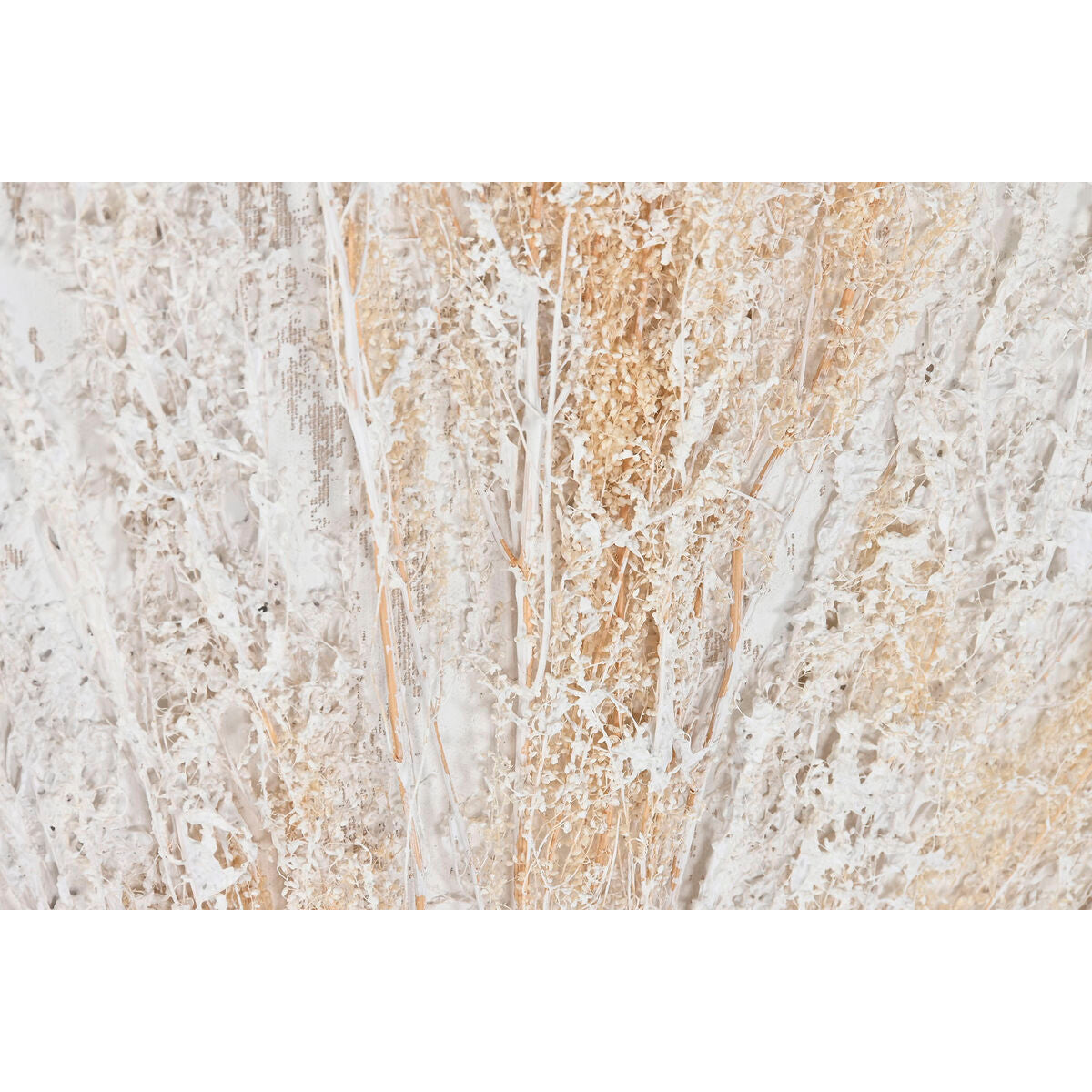 V2H5F5124BC25979EF4054585E050662304R5620160P3