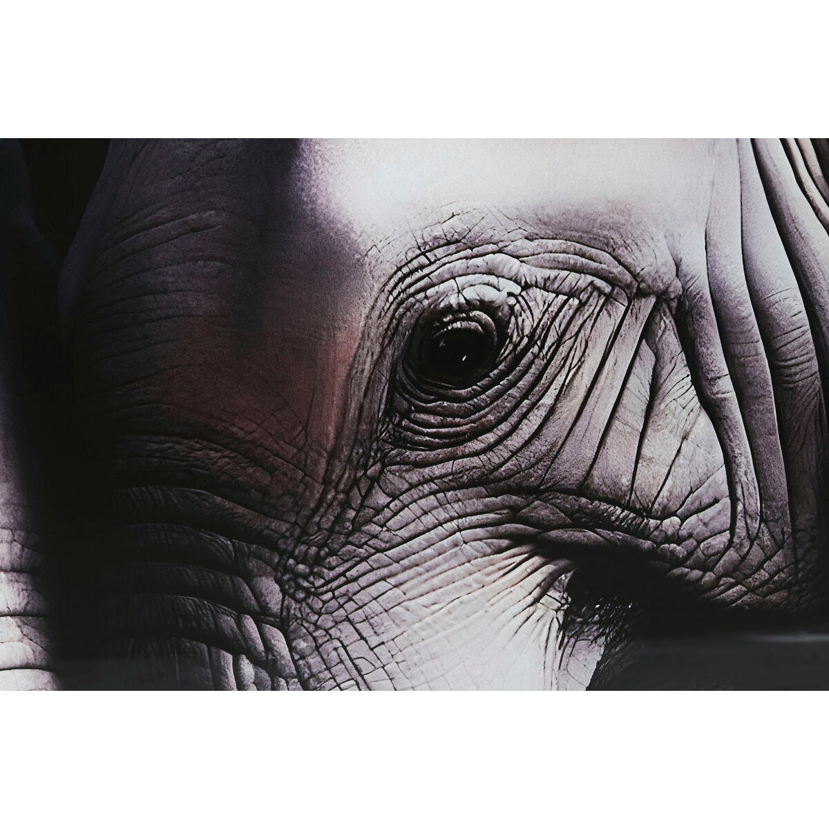 V2H21636FCCD2A1061824D3EB04B93FB248R5620166P3