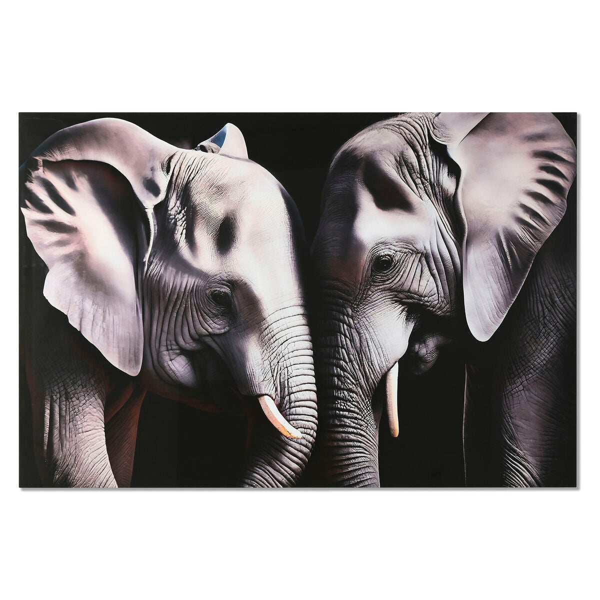 V2HAEF524FD2098159F711F2D922860E480R5620157P1