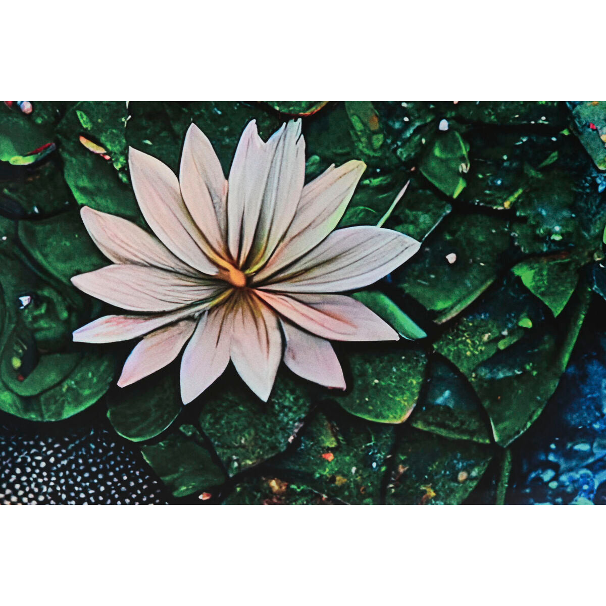 V2HCC6B63F9C107CA6C95CC0FCDEE15F346R5620078P3