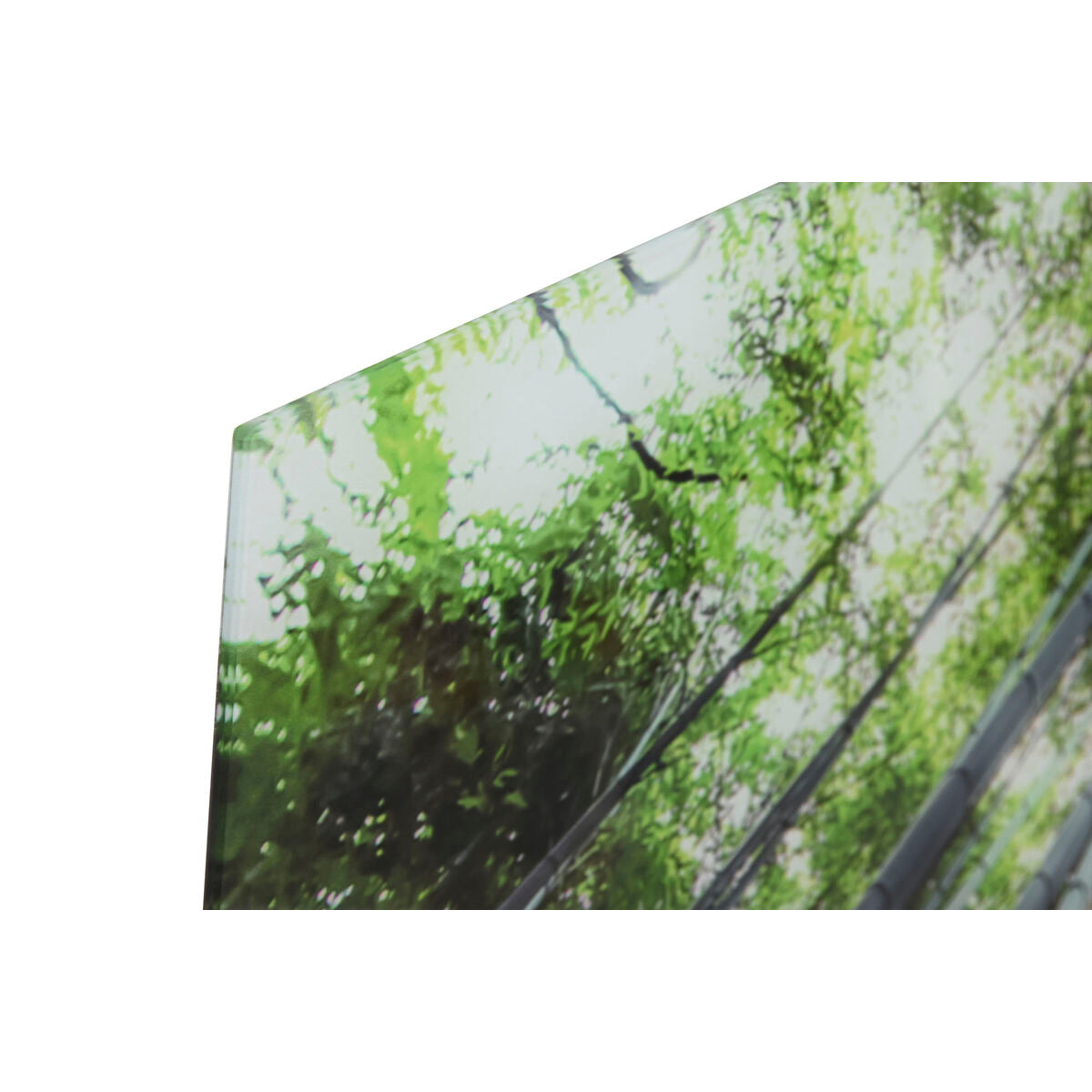 V2H4949BF0EF47E81E11BB50AA04AE4ED5AR5620094P2