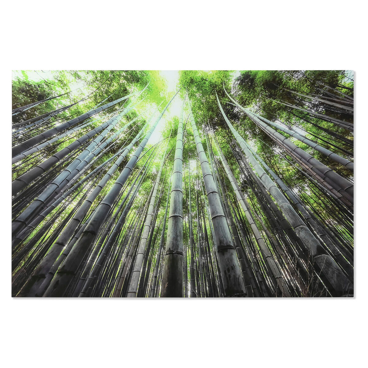 V2H98474B11ED418544749CC87F625B9B95R5620091P1