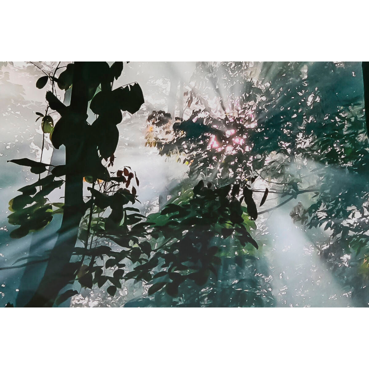 V2H7AA2A013A239375457F58BFD74BDB633R5620090P3