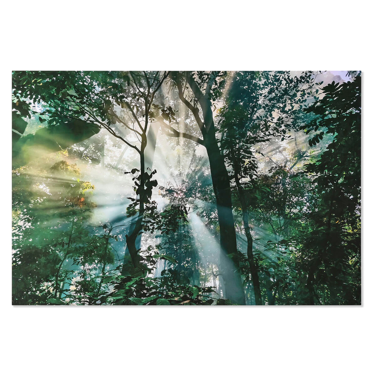 V2H910C3FE114BCC54CCDC4F25332055857R5620085P1