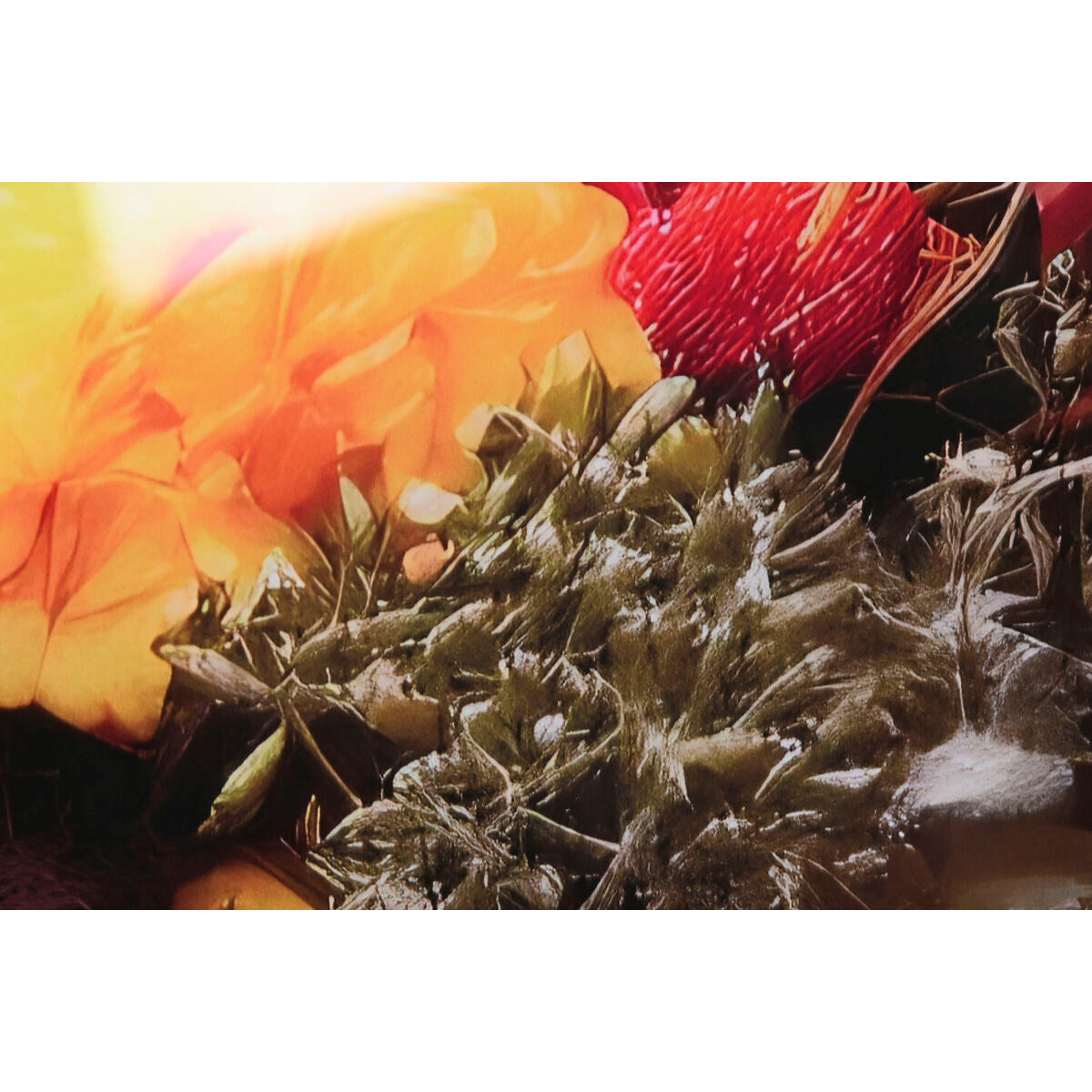 V2HDE22F365BA663EC218F2E2E6DA31AE9ER5620179P4