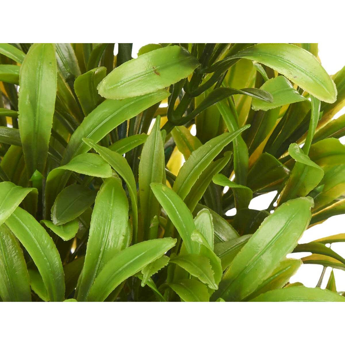 V4H0BB8F0C58140ABBF912515AE9E0ECF1DR3622461P3